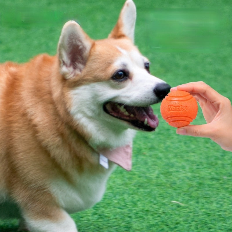 Balle de chien Indestructible à mâcher, balle en caoutchouc rebondissante, jouets pour chien de compagnie, balle avec ficelle, jouets interactifs pour grand chien, jeux pour chiot
