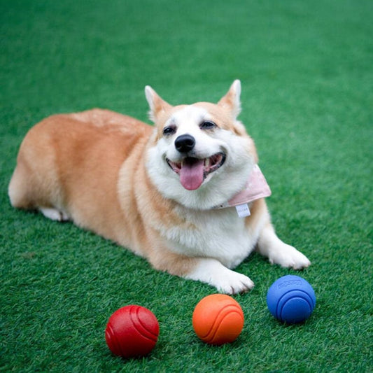 Balle pour chien, jouet à mâcher, Indestructible, avec ficelle, interactif, solide, en caoutchouc, pour grand gabarit